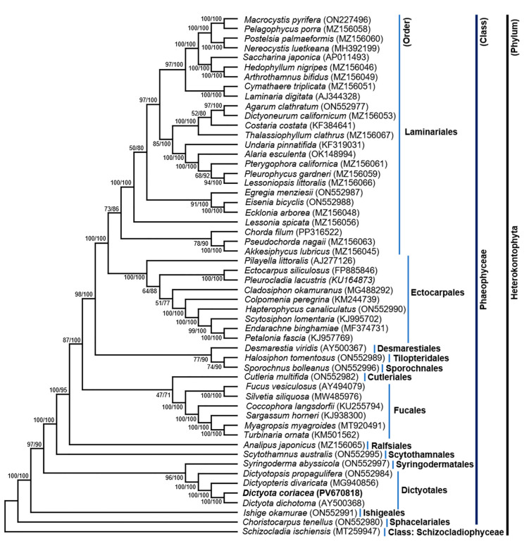 Figure 2