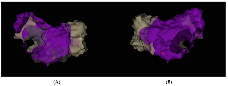 Figure 9