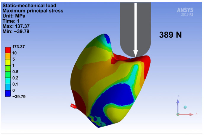Figure 7