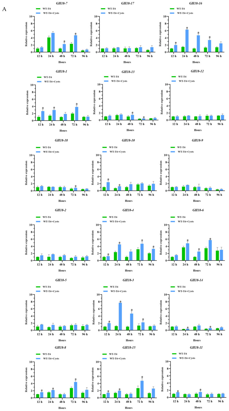 Figure 12