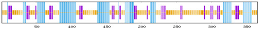 Figure 31