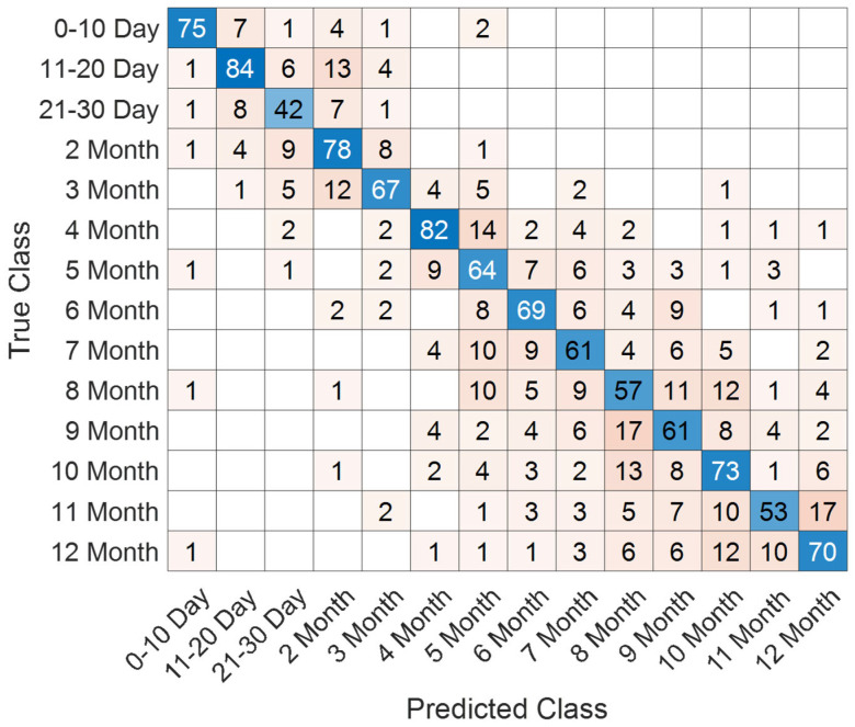 Figure 13