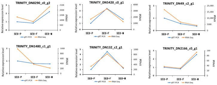 Figure 9