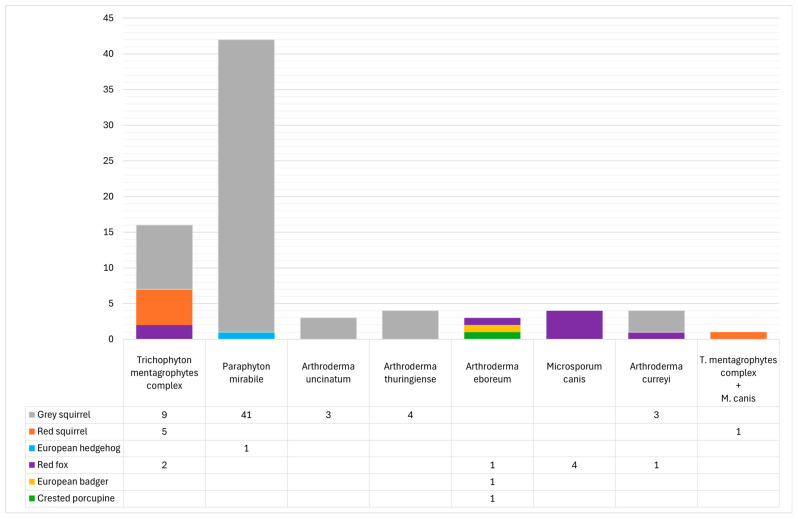 Figure 5