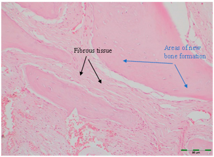 Figure 8