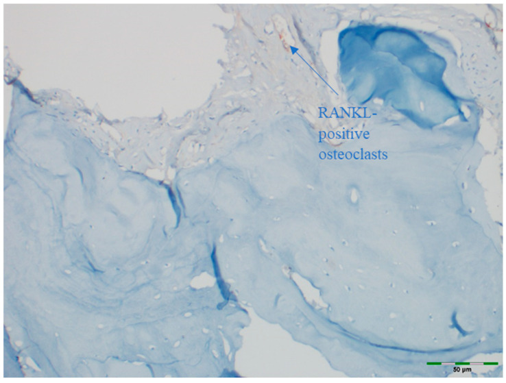 Figure 16