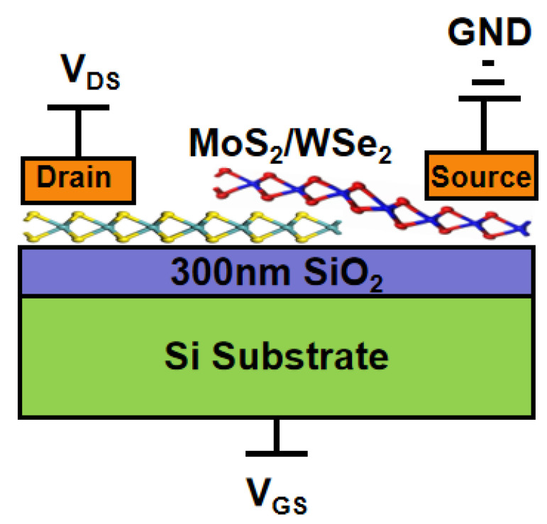 Figure 5