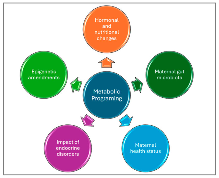 Figure 7