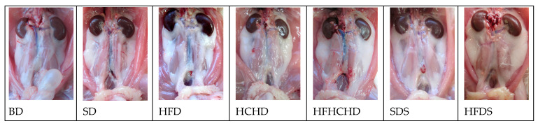 Figure 16