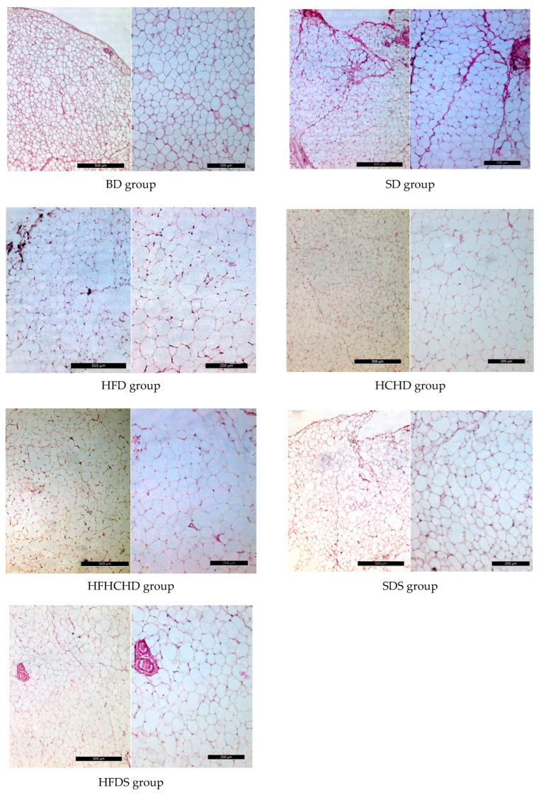 Figure 19