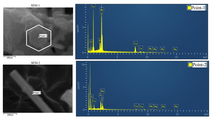Figure 19