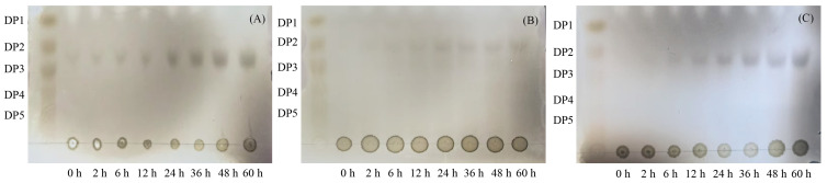Figure 11