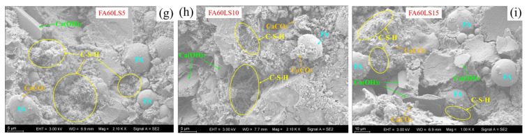 Figure 8