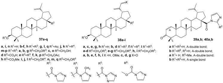 Figure 12