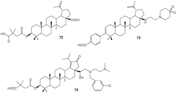 Figure 24