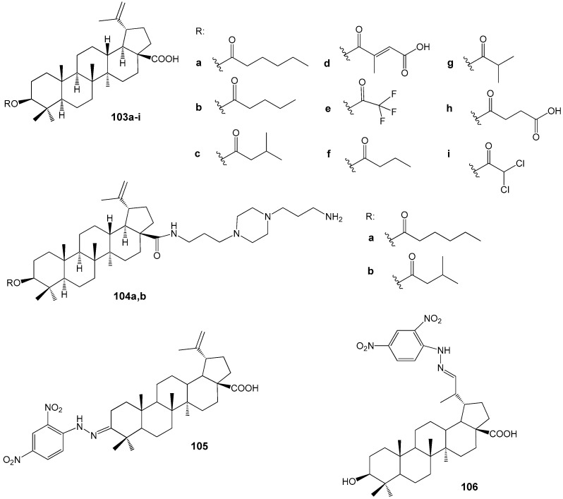 Figure 33