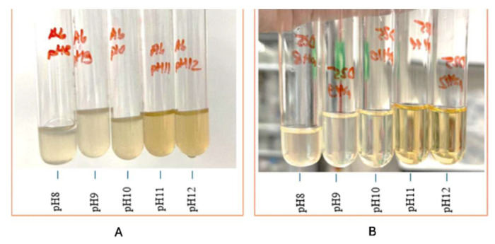 Figure 9
