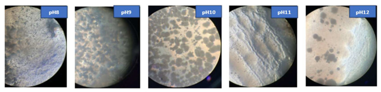 Figure 10