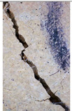 Figure 25