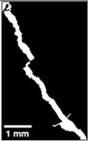 Figure 28