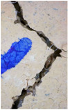 Figure 29