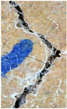 Figure 30
