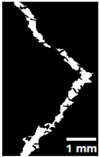 Figure 32