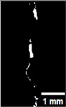 Figure 36