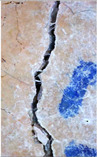 Figure 38
