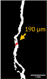 Figure 39