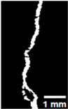 Figure 40