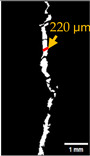 Figure 43