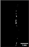 Figure 44