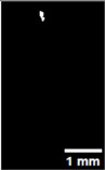 Figure 48