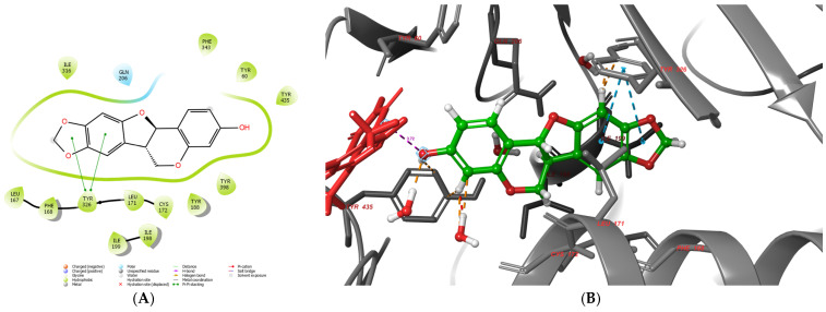 Figure 13