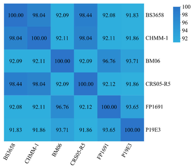 Figure 5