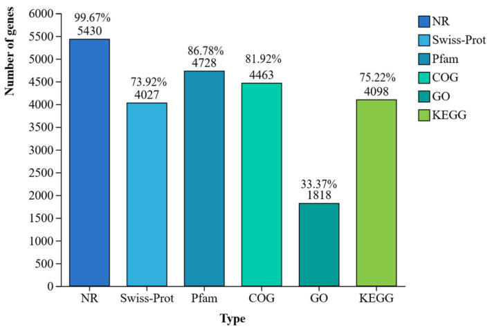 Figure 7