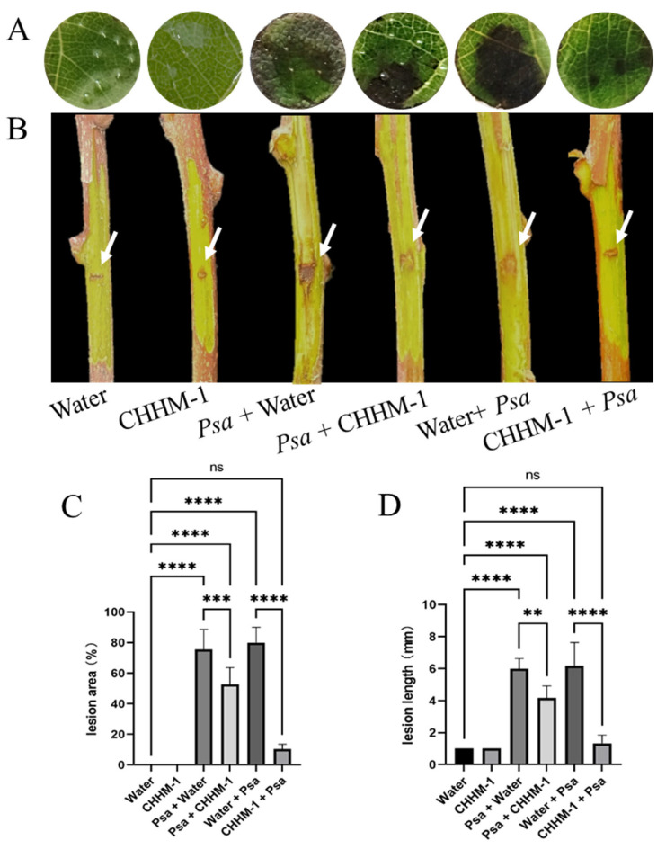 Figure 12
