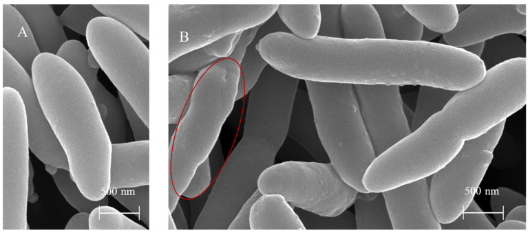 Figure 14