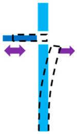 Figure 21