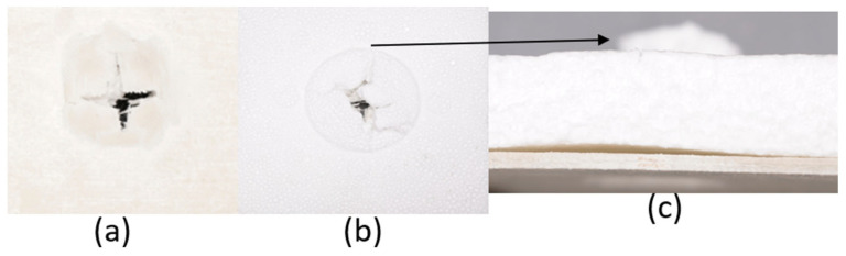 Figure 19