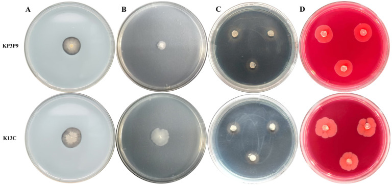 Figure 6