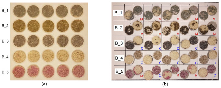 Figure 19