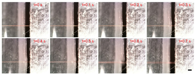 Figure 9