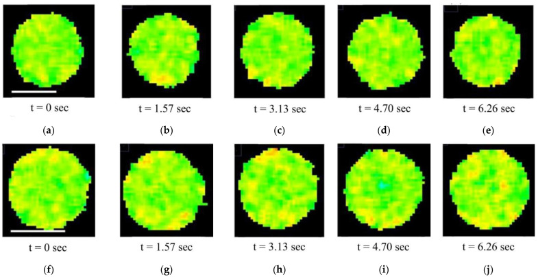 Figure 7