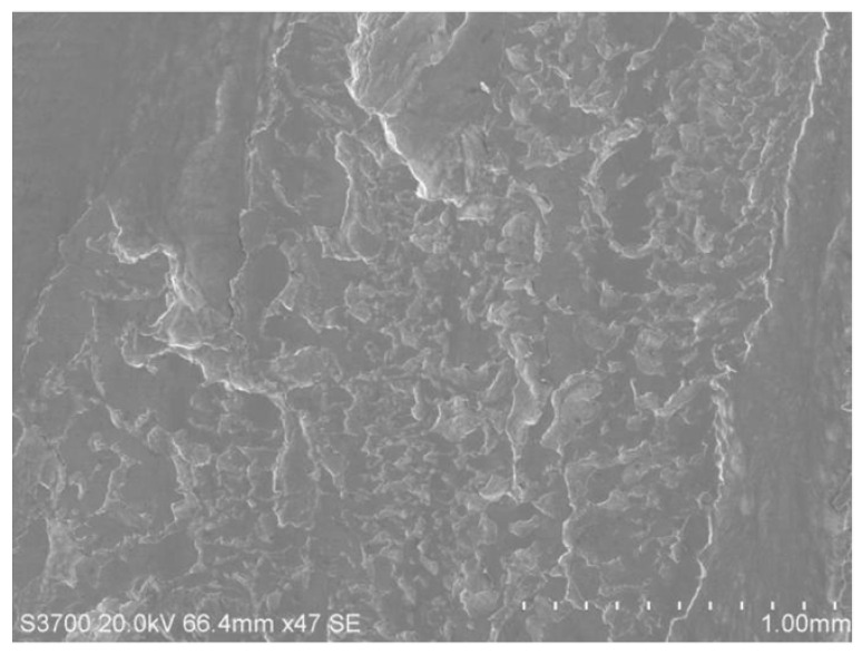 Figure 11