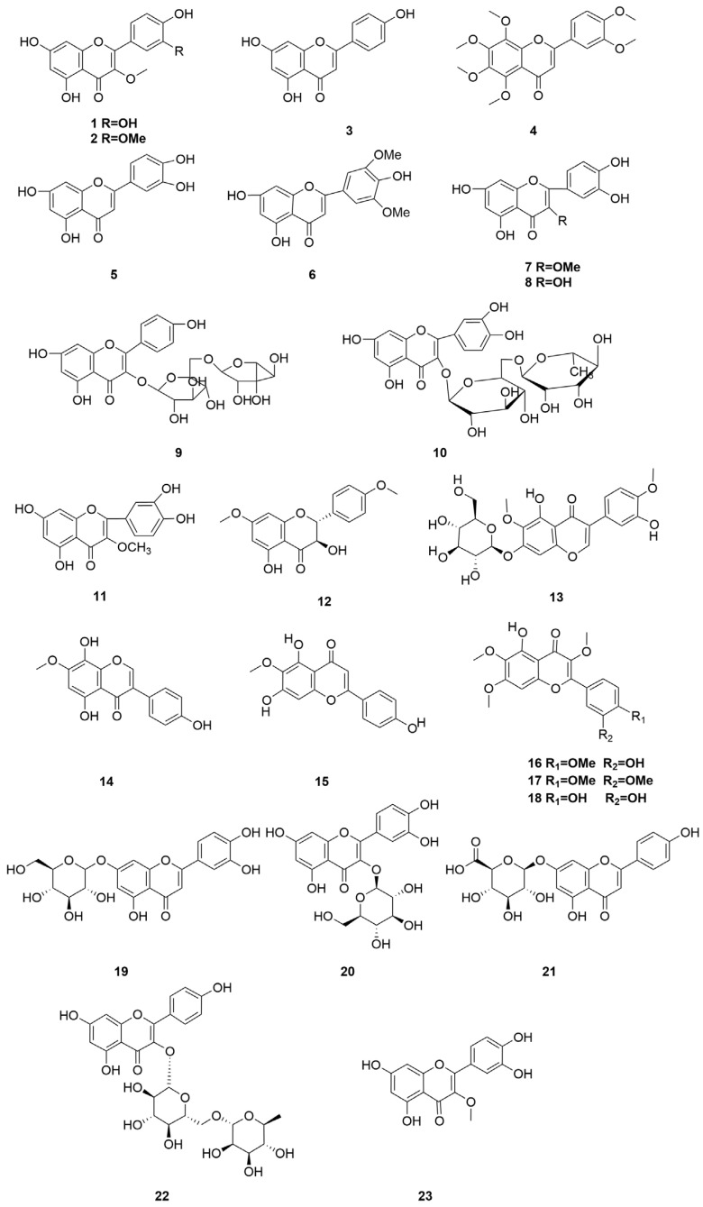 Figure 10