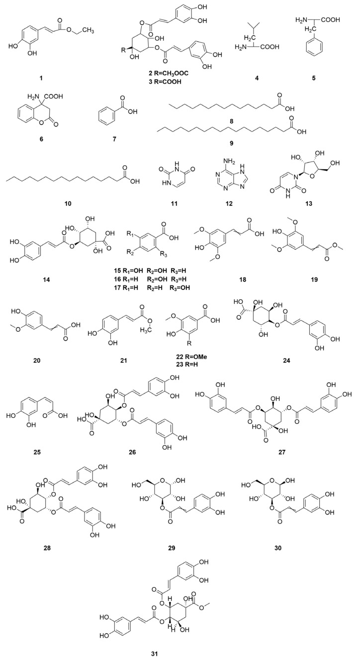 Figure 12