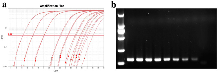 Figure 10