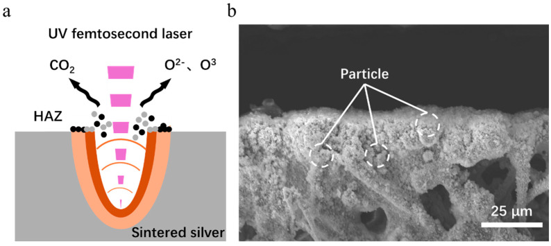 Figure 14